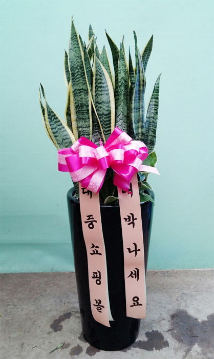 ST-J109
