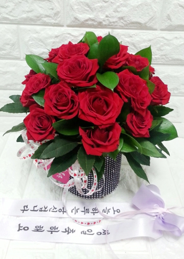 ST-C384
