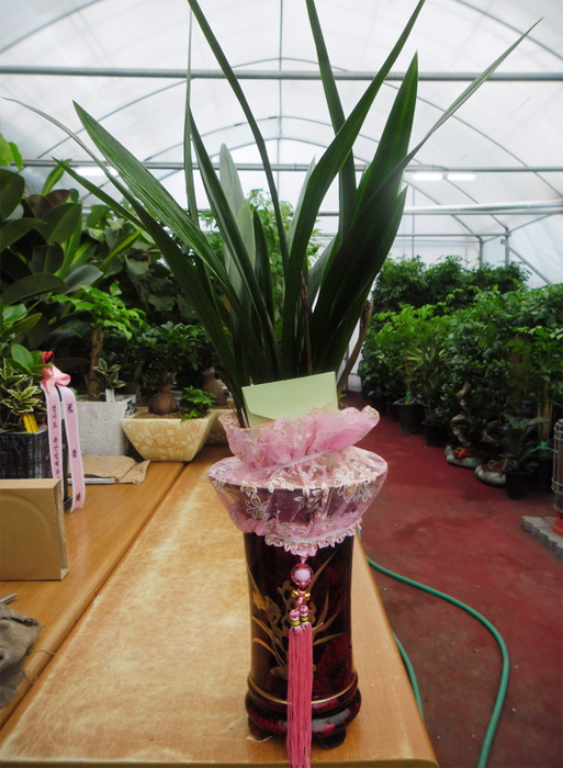 ST-E479