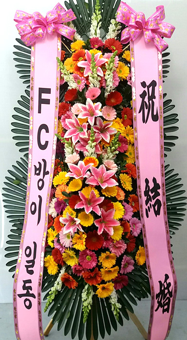 ST-FA064