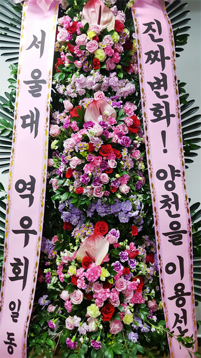 ST-FA249