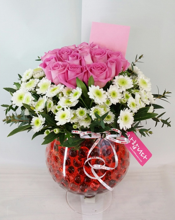 ST-C232
