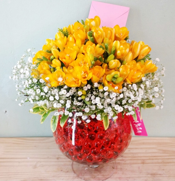 ST-C250