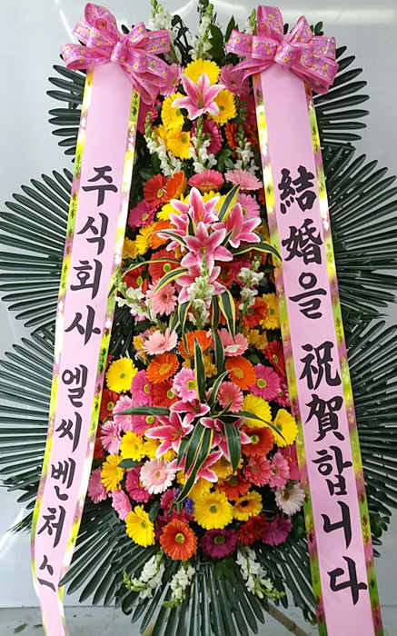 ST-FA248