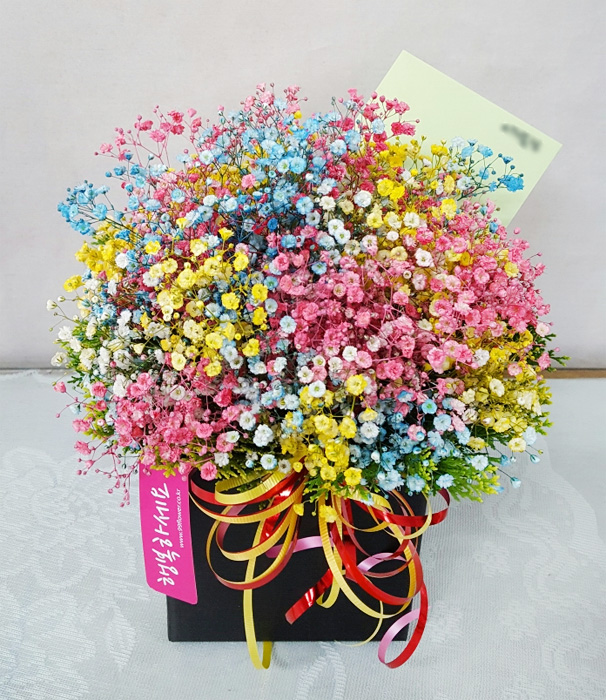 ST-B264