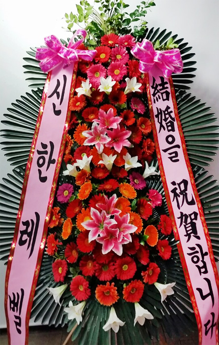 ST-FA248