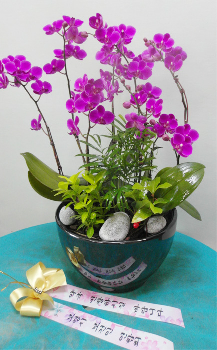 ST-H334