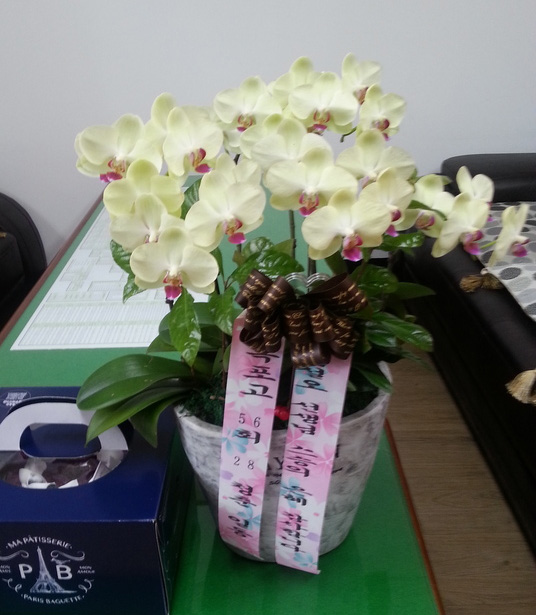 ST-H422