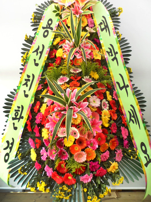 ST-FA248