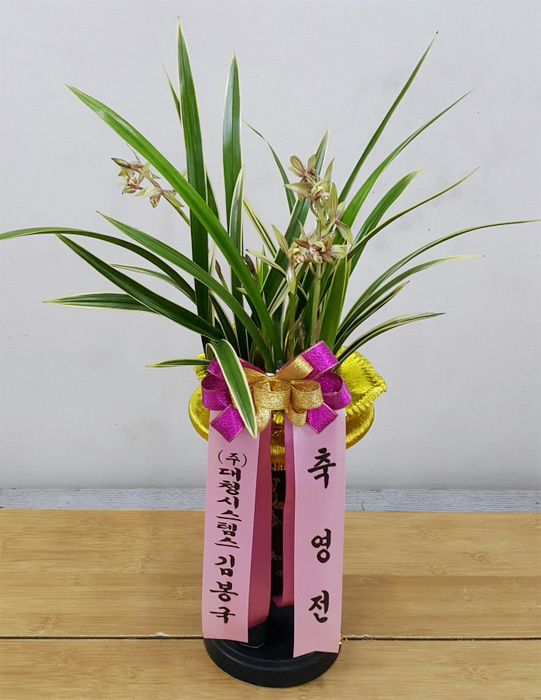 ST-E505