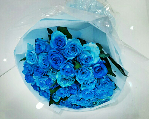 ST-C312