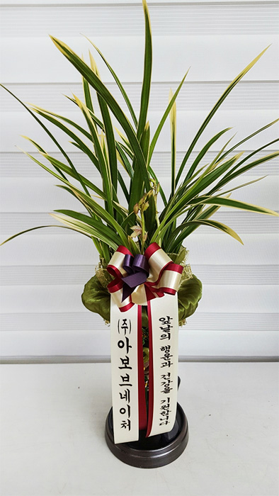 ST-E373