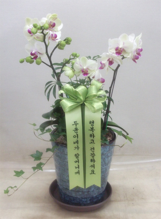 ST-H303
