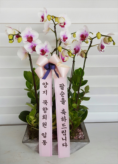 ST-H421