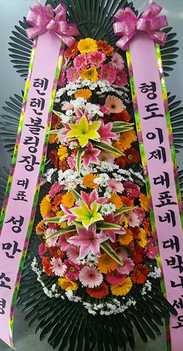 ST-FA248