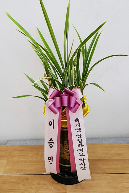 ST-E479