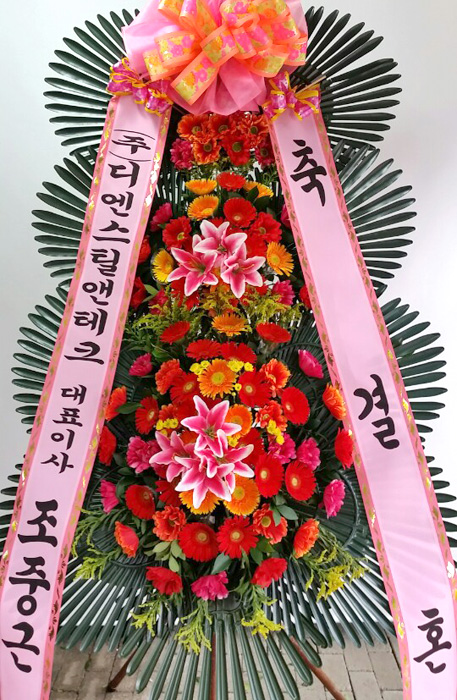 ST-FA248