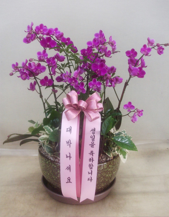 ST-H274