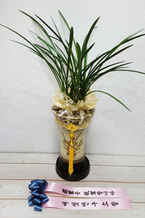 ST-E479