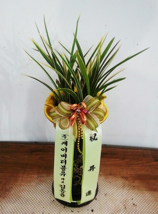 ST-E505
