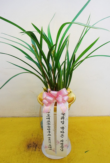 ST-E479