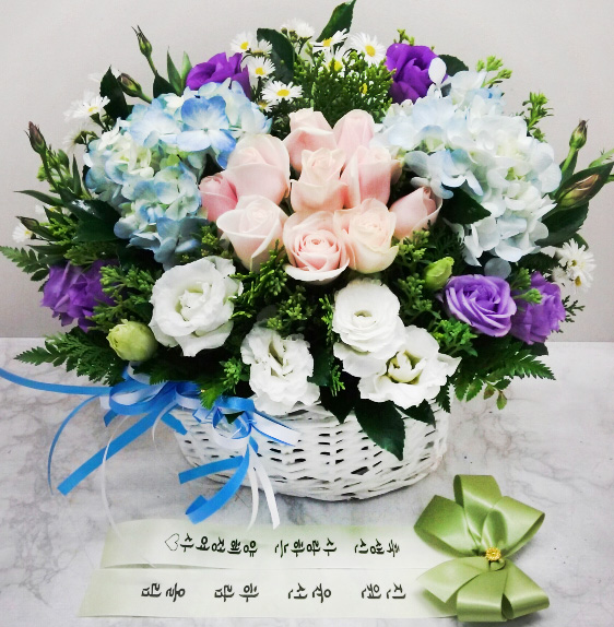 ST-A1661