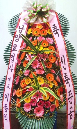ST-FA064