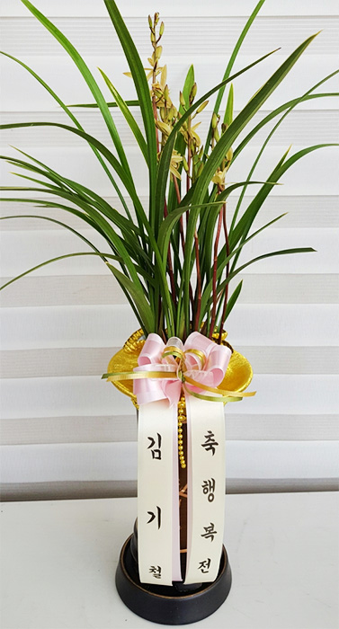 ST-E406
