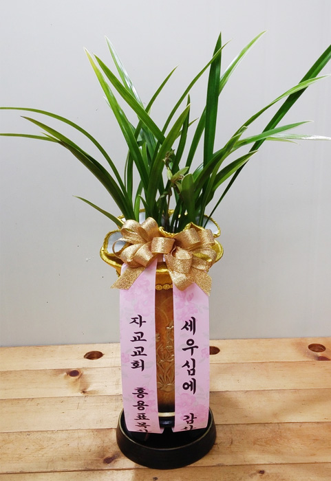 ST-E479