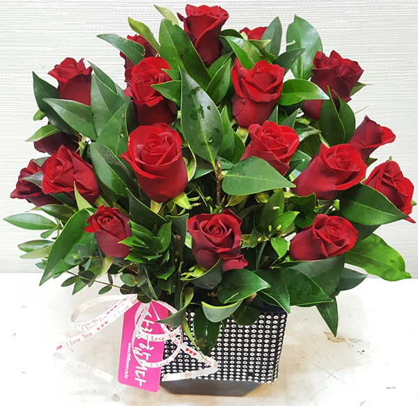 ST-C384