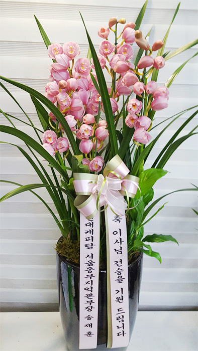 ST-H366