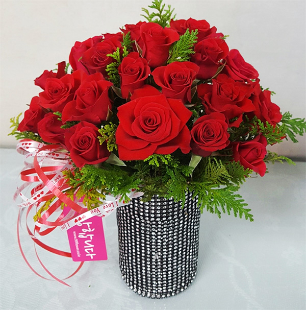 ST-C384