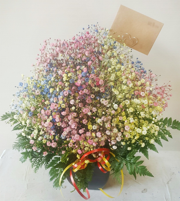 ST-B264