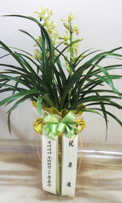 ST-E487