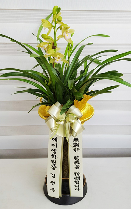 ST-E487