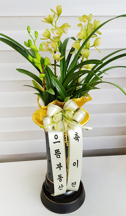 ST-E487
