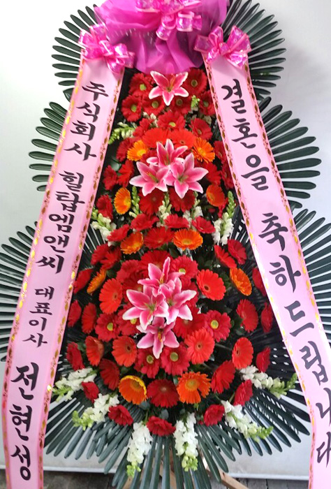 ST-FA248