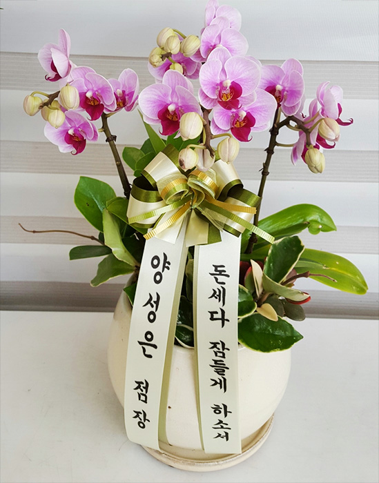 ST-H430