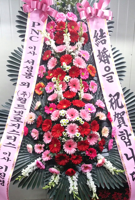 ST-FA248