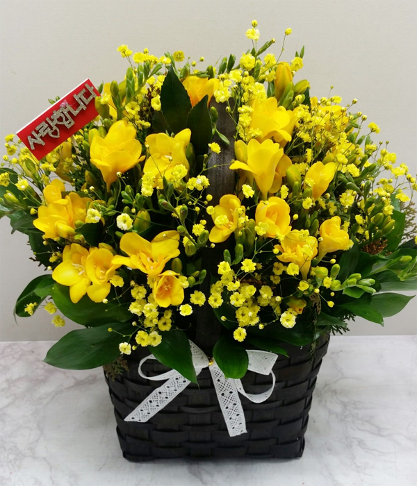 ST-A1629