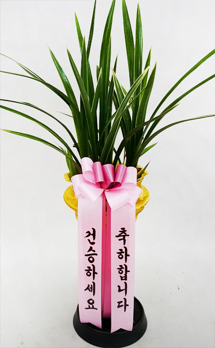 ST-E444