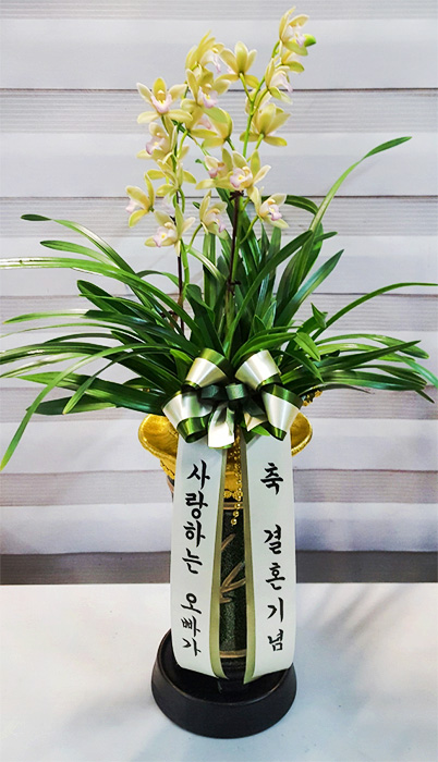 ST-E487