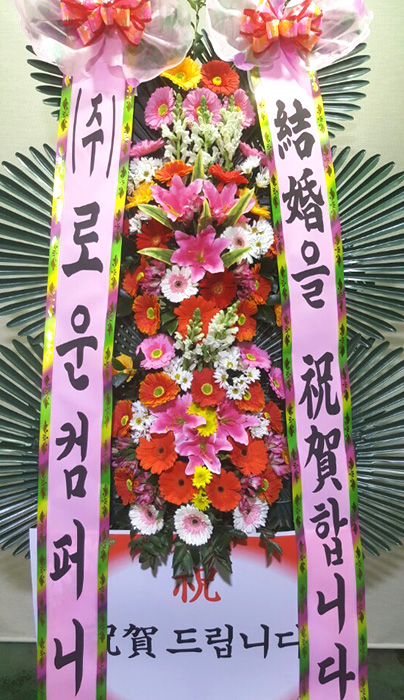 ST-FA248