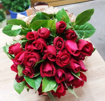 ST-C377