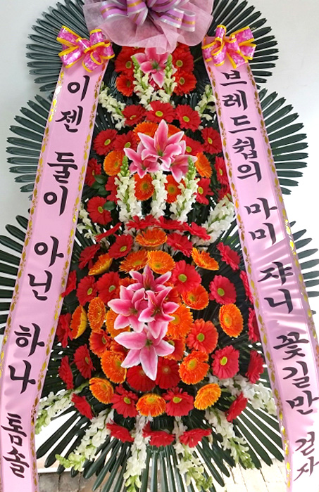 ST-FA247
