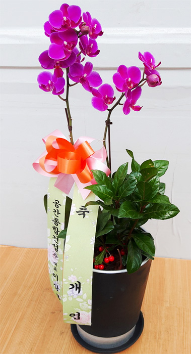 ST-H285
