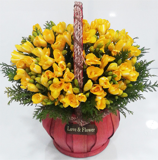 ST-A1557