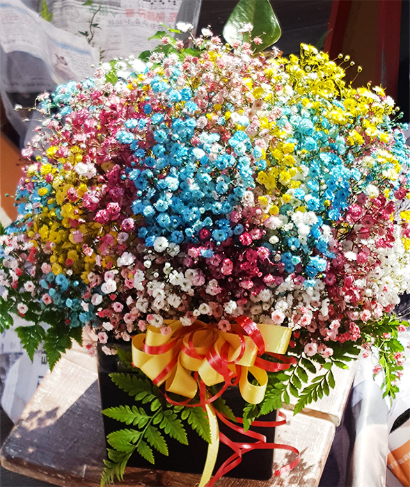 ST-B264