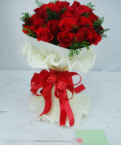ST-C157