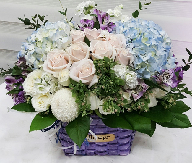 ST-A1661